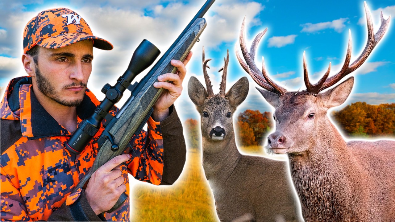 Chasse en Battue des Cervid&eacute;s : Cerfs et Chevreuils ! (saucisses maison &agrave; la fin)