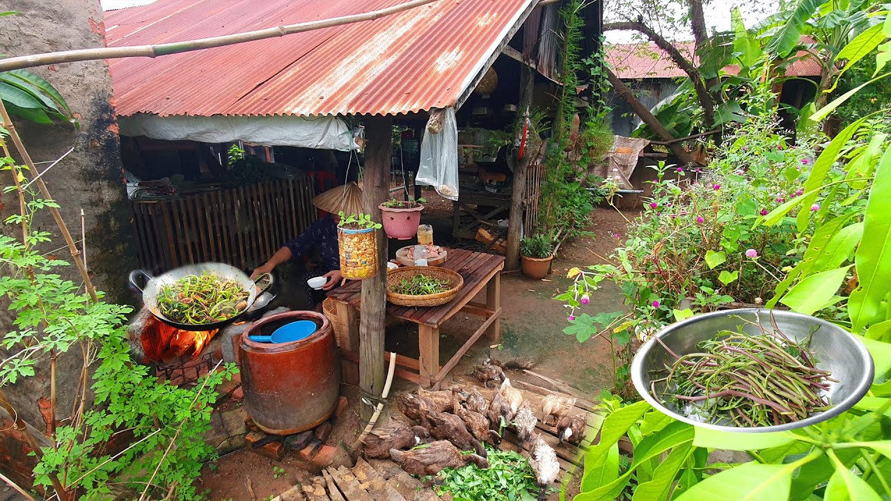 Village Dinner from Fresh Harvest | Countryside Cooking