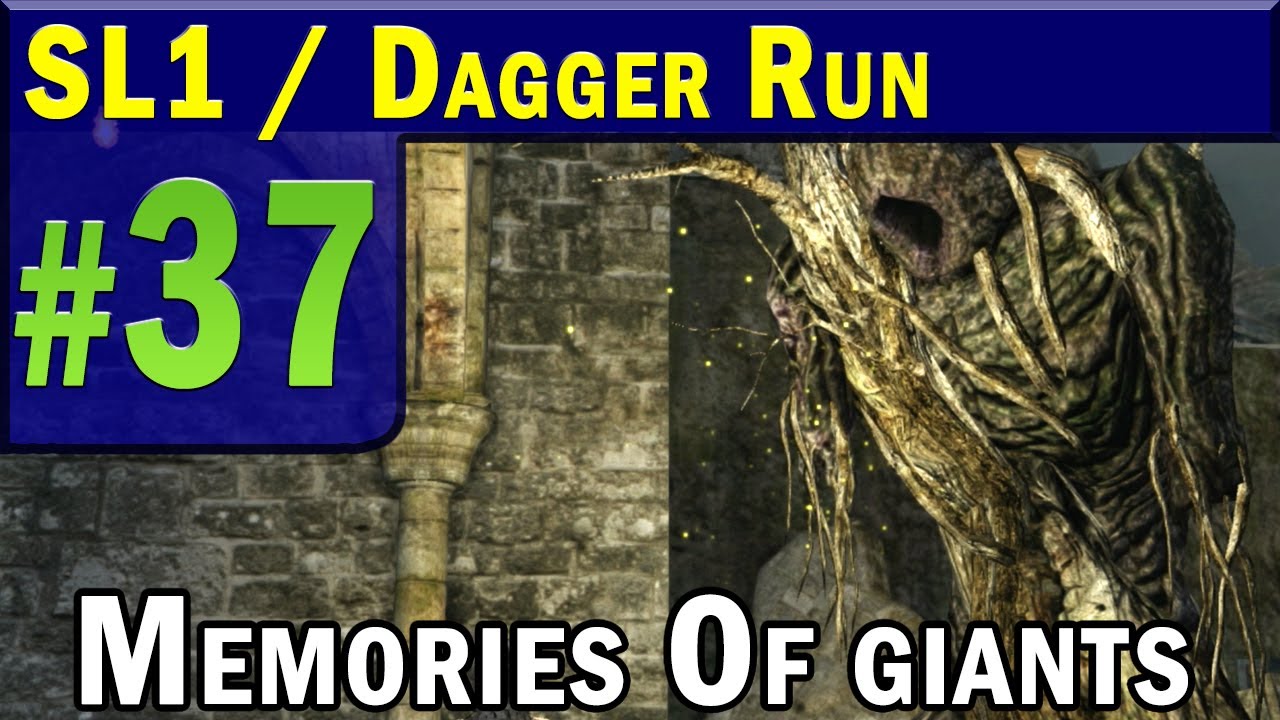 DARK SOULS 2 - SL1 DAGGER RUN Part 37 Memories / Souls Of Giants HD
