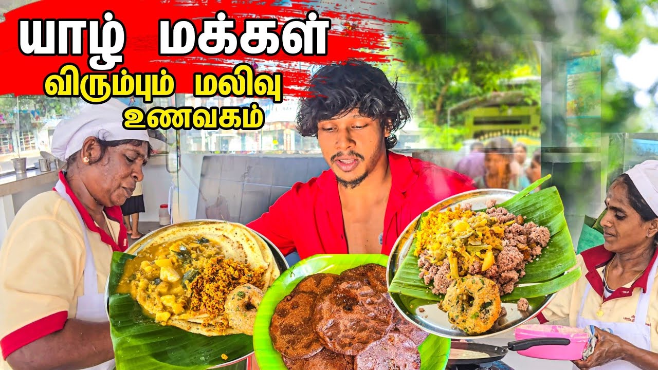 அம்மாவின் கையால் சாப்பிட்டது போல் 😋 / 50 ரூபாய்க்கு சாப்பாடு / Tamil bros