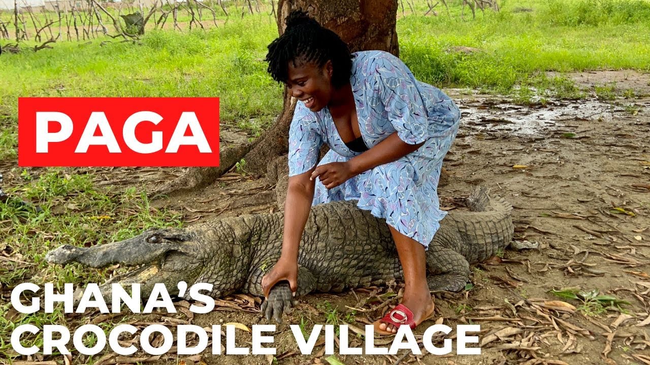 PAGA, GHANA'S CROCODILE VILLAGE. A MUST-SEE ATTRACTION IN GHANA, WEST AFRICA.