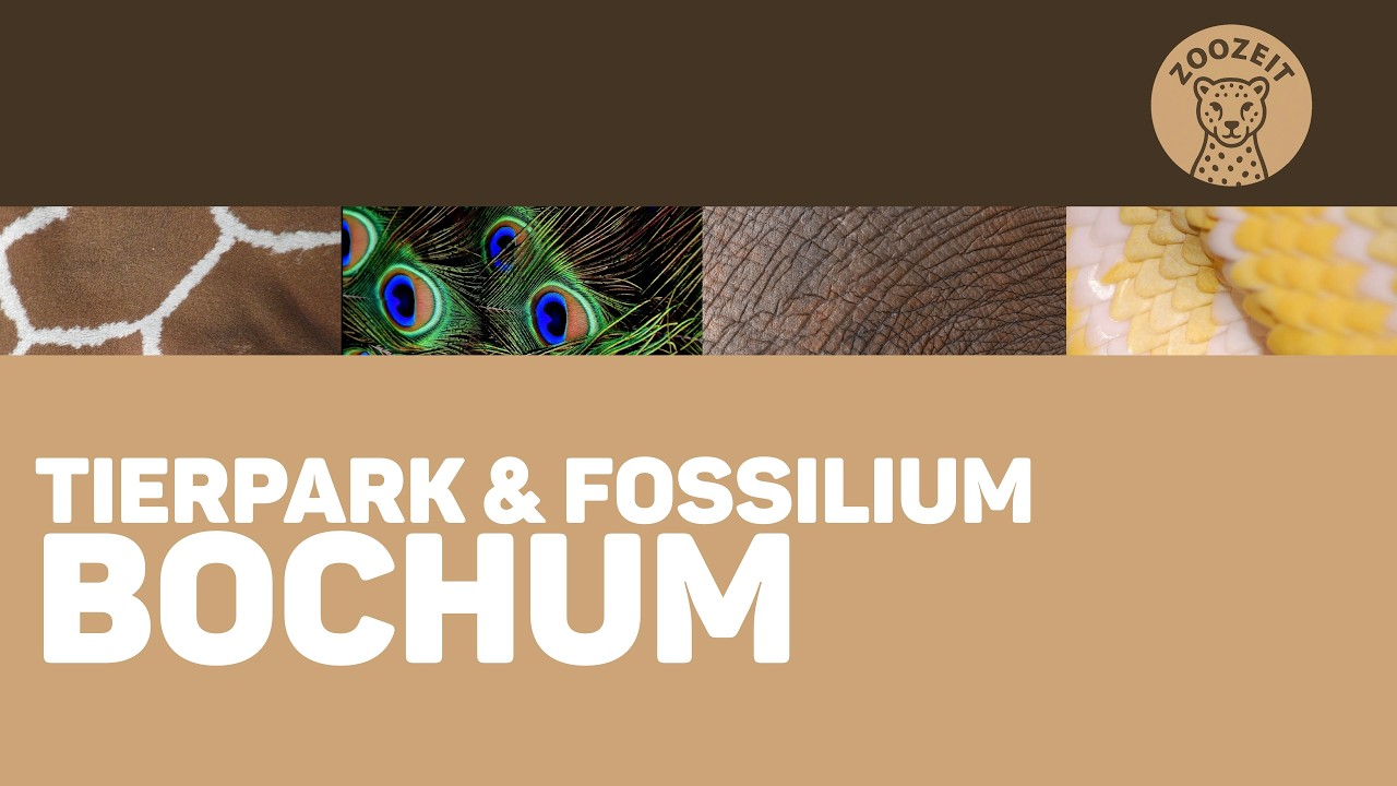Tierpark + Fossilium Bochum – ein kleiner Zoo voller Überraschungen!