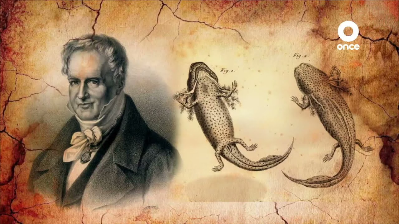 Factor Ciencia - El monstruo del agua, un anfibio sagrado (17/07/2021)