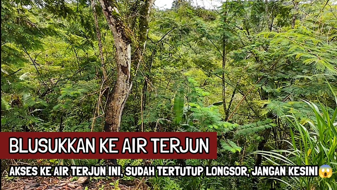 AKSES KE AIR TERJUN TIYINGAN SENI, SUDAH TERTUTUP LONGSOR, TIDAK DAPAT DIJANGKAU, BALI (10/2/2026)