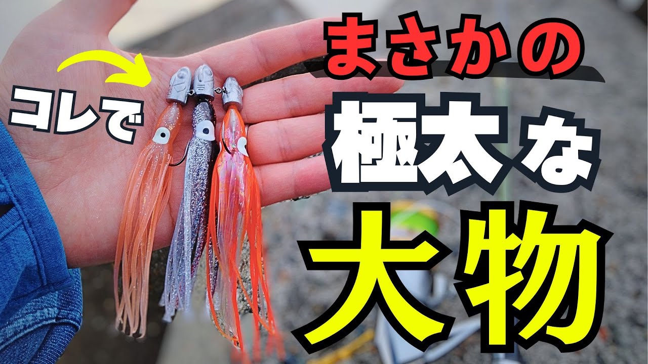 【検証】こんな魚も釣れた！高級魚が釣れすぎるタコジグヘッド（タコベイト＋ジグヘッド）