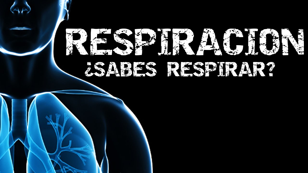 LA RESPIRACIÓN EN EL GYM - ¿Piensas que sabes respirar?