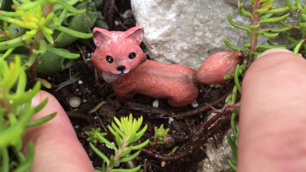 The Rockery: my hardy succulent rock garden in the fall :)