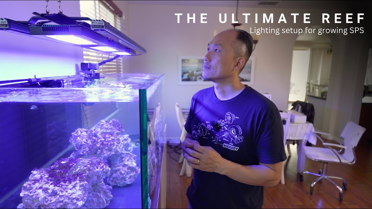 Ultimate Reef Lighting Setup for Growing SPS | IMHO | New setup after my Tank Reboot!
