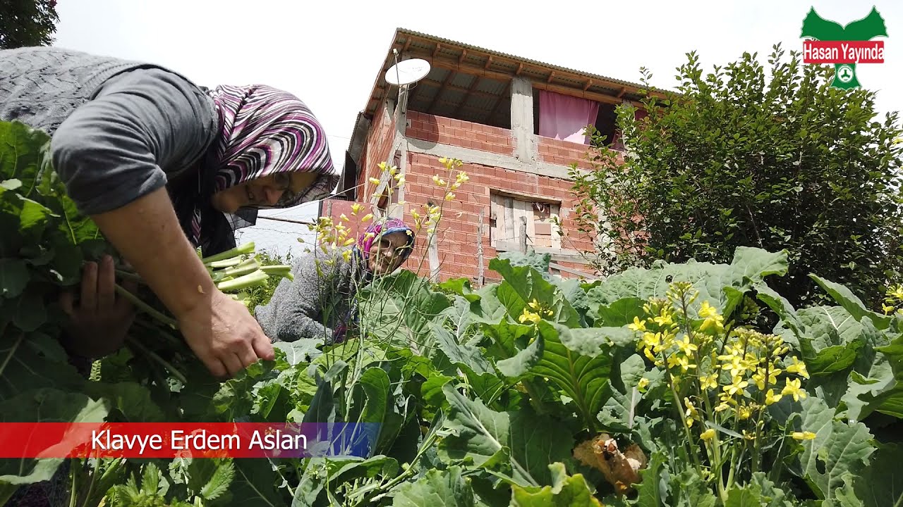 Işıl Işıl Giresun Çandır Karşılaması Potpori 2022