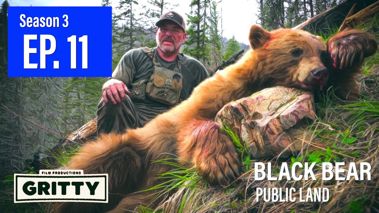 SEASON 3 | EP 11 | LIVESAY'S BLONDEE | LLAMA PACK-IN | 🎬 GRITTY 4K FILM