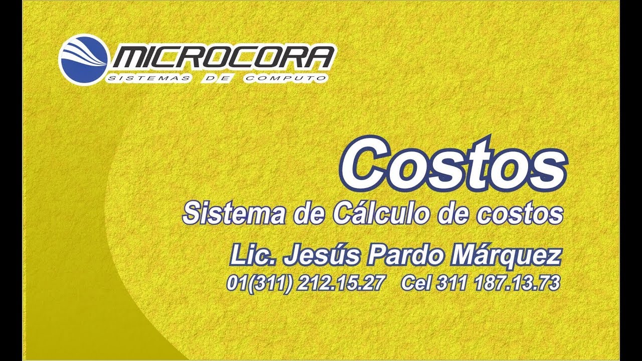 Sistema de calculo de Costos - Sistema desarrollado a la medida - Microcora
