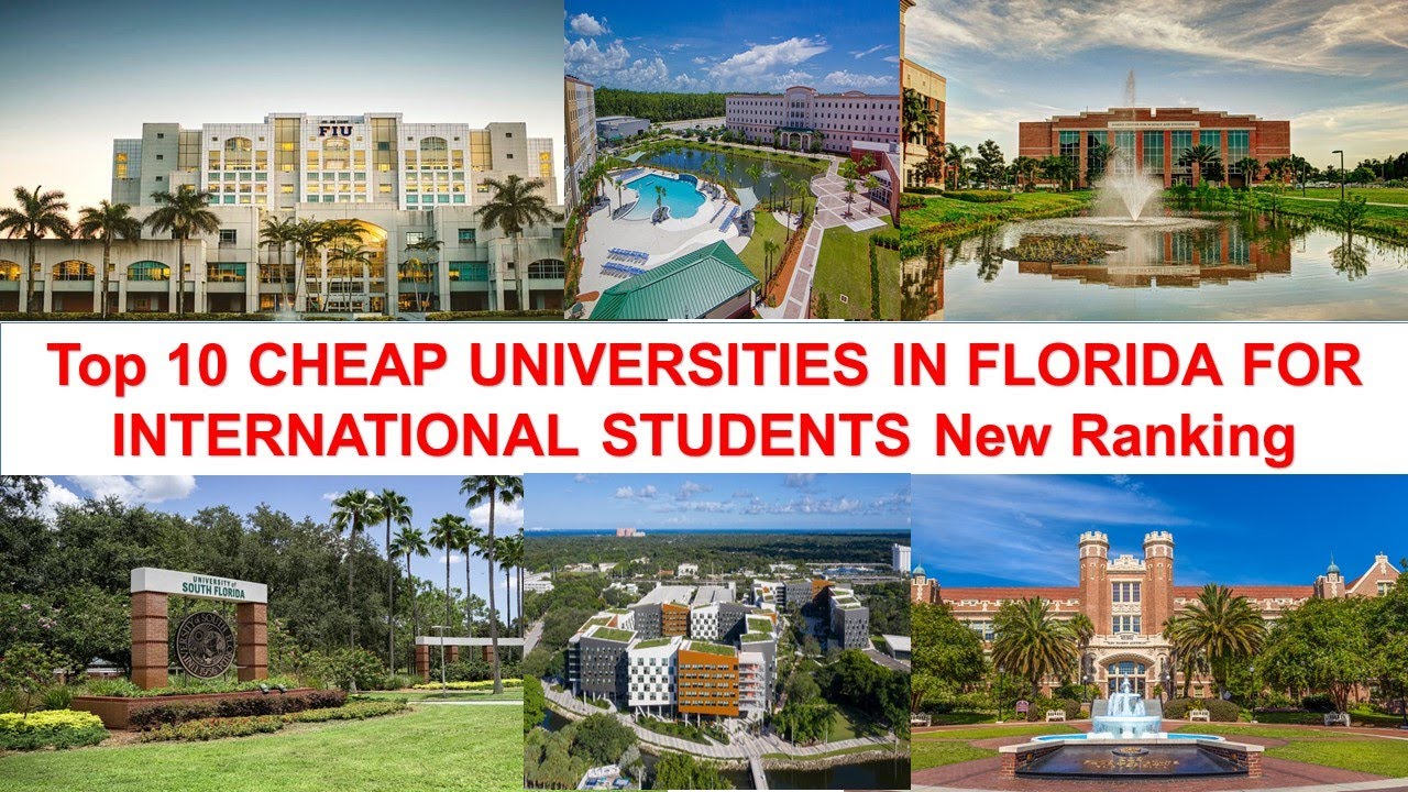 Top 10 CHEAP UNIVERSITIES IN FLORIDA FOR INTERNATIONAL STUDENTS New Ranking