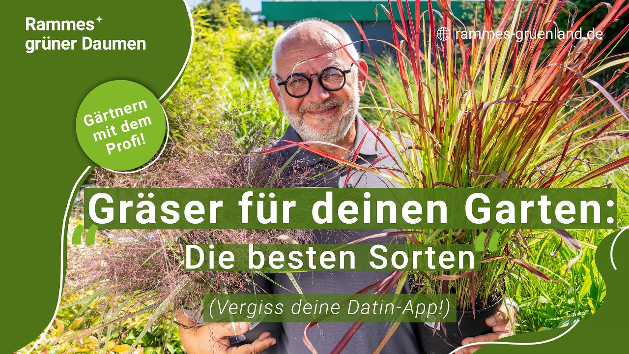 Gr&auml;ser f&uuml;r deinen Garten: die besten Sorten (Vergiss deine Dating-App!)