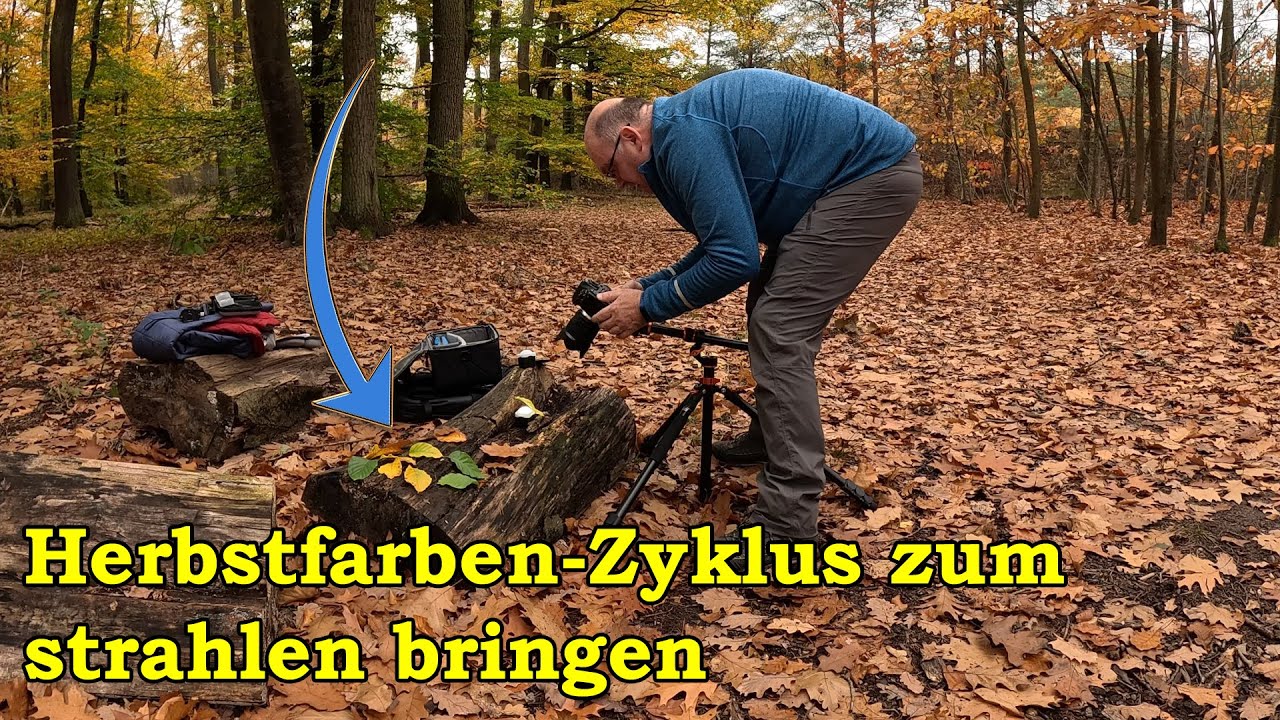 Herbstfarben (Blätter) Zyklus zum strahlen bringen. Das Ergebnis ist nicht wie gedacht :-( !