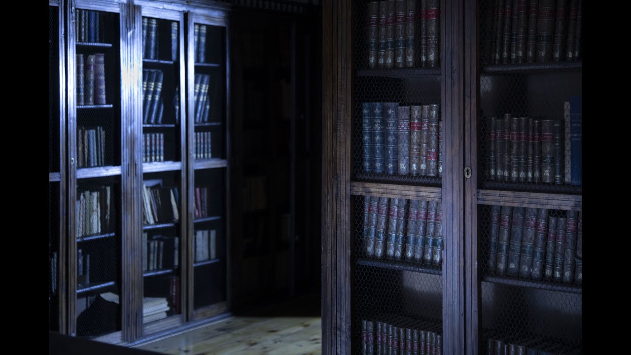 La biblioteca del Museo Casa de Cervantes