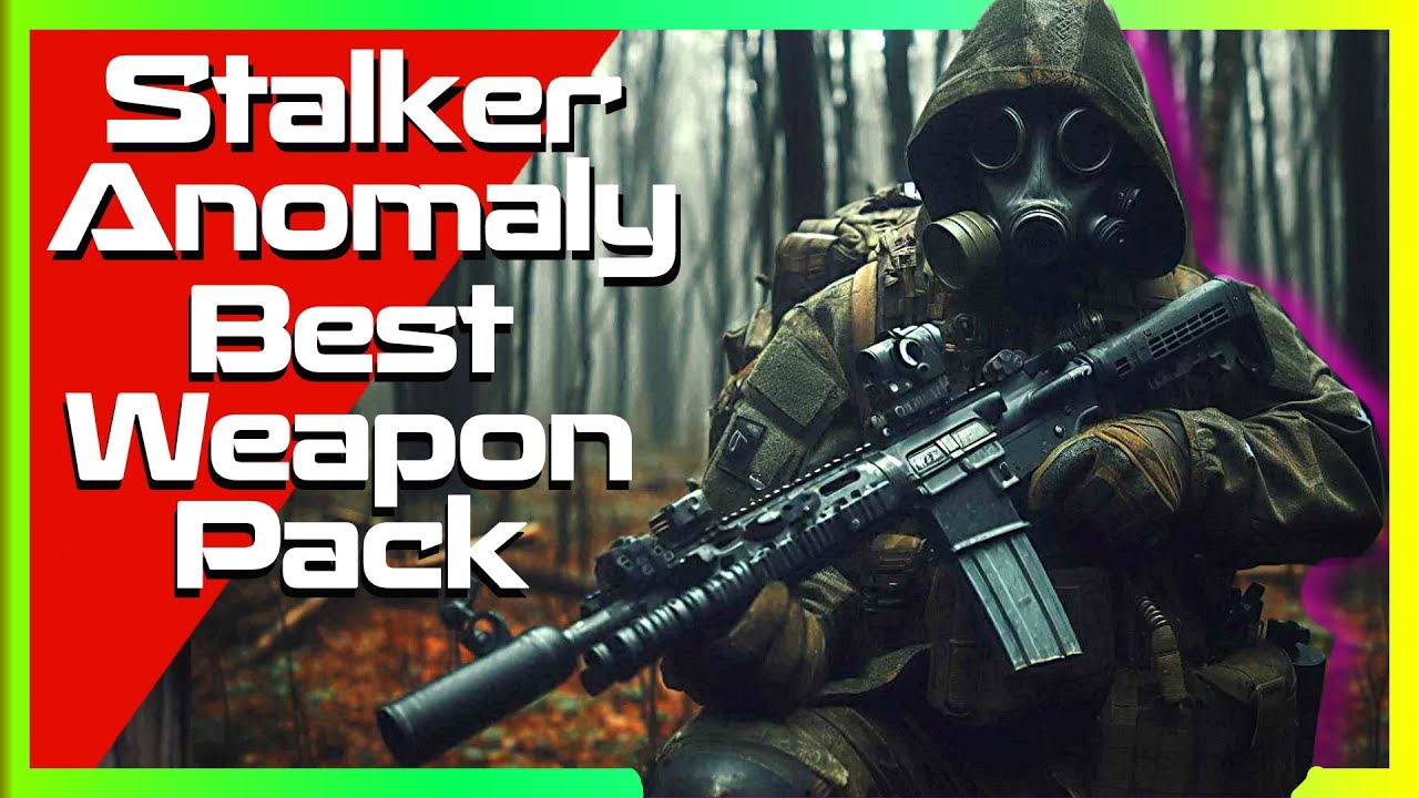 Stalker Anomaly This is The Best Weapon Mod