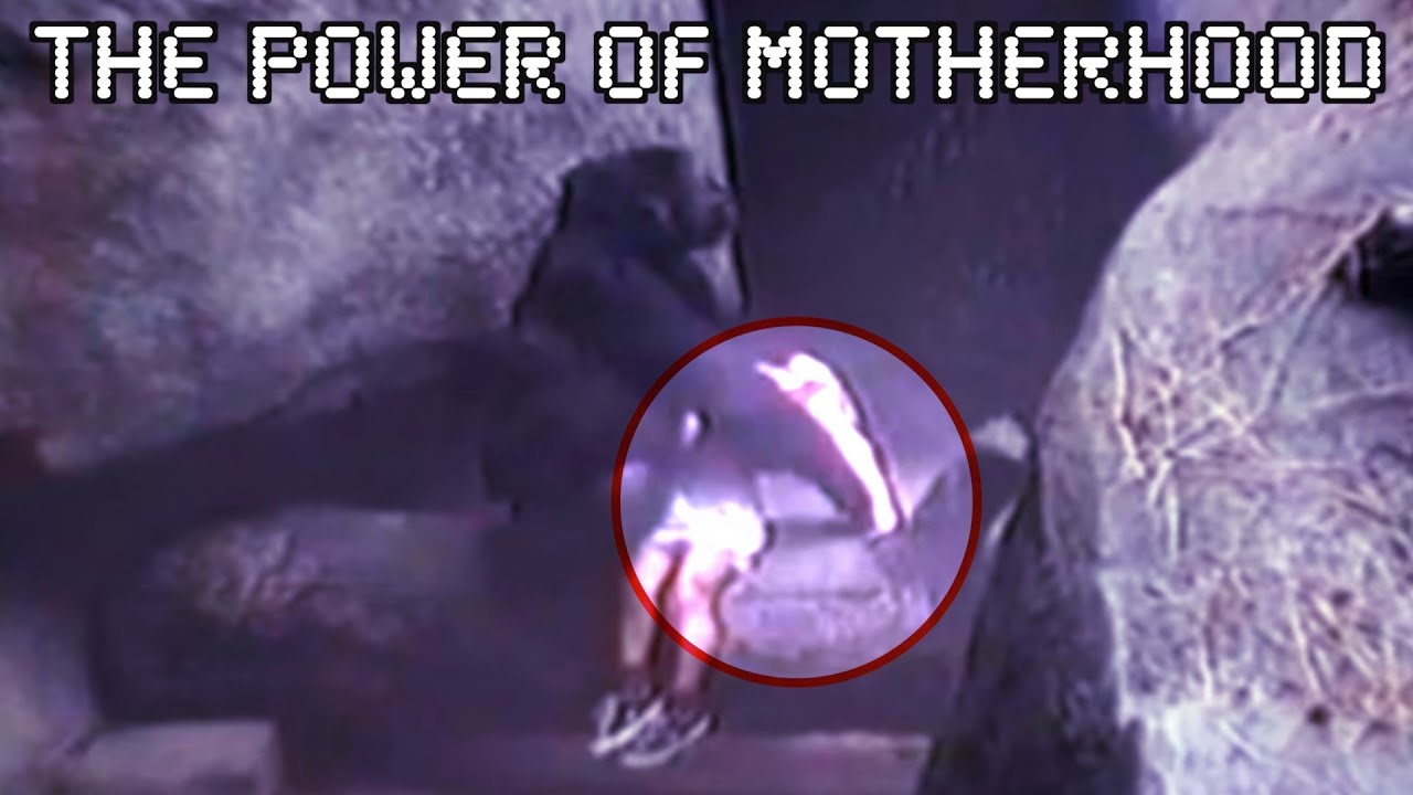 Animals that Deserve a Second Mother's Day