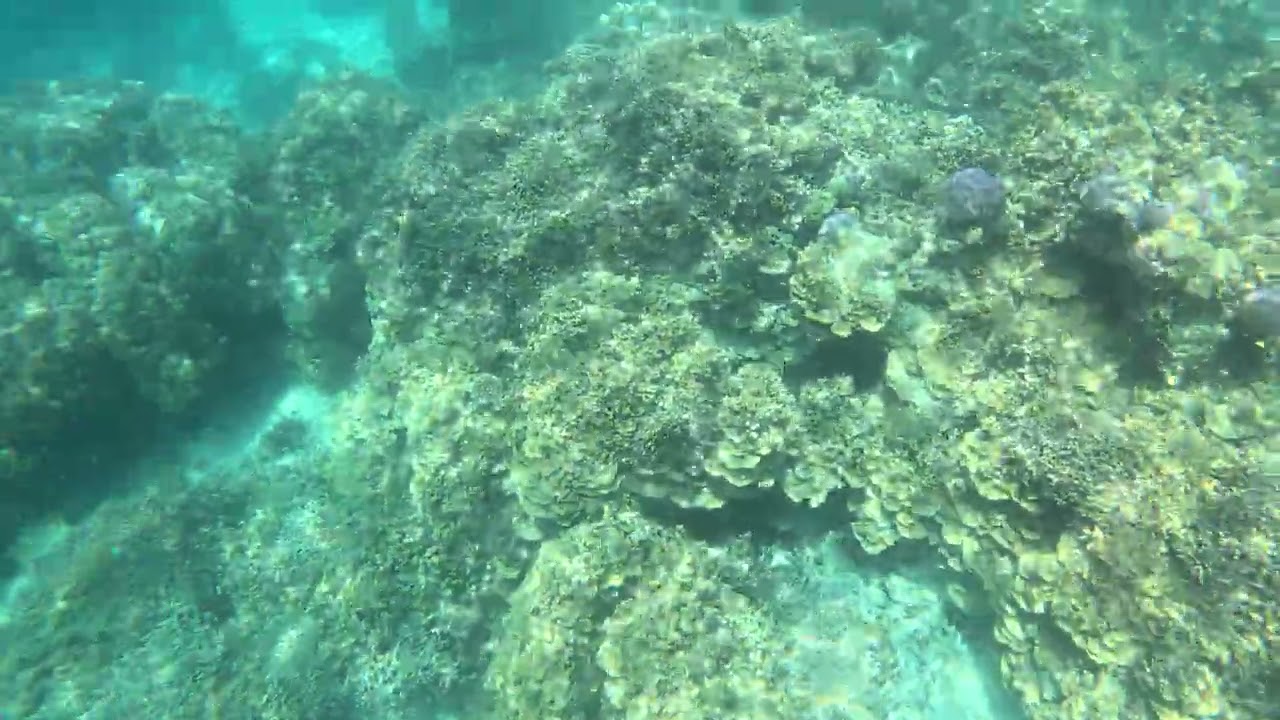 GX013346