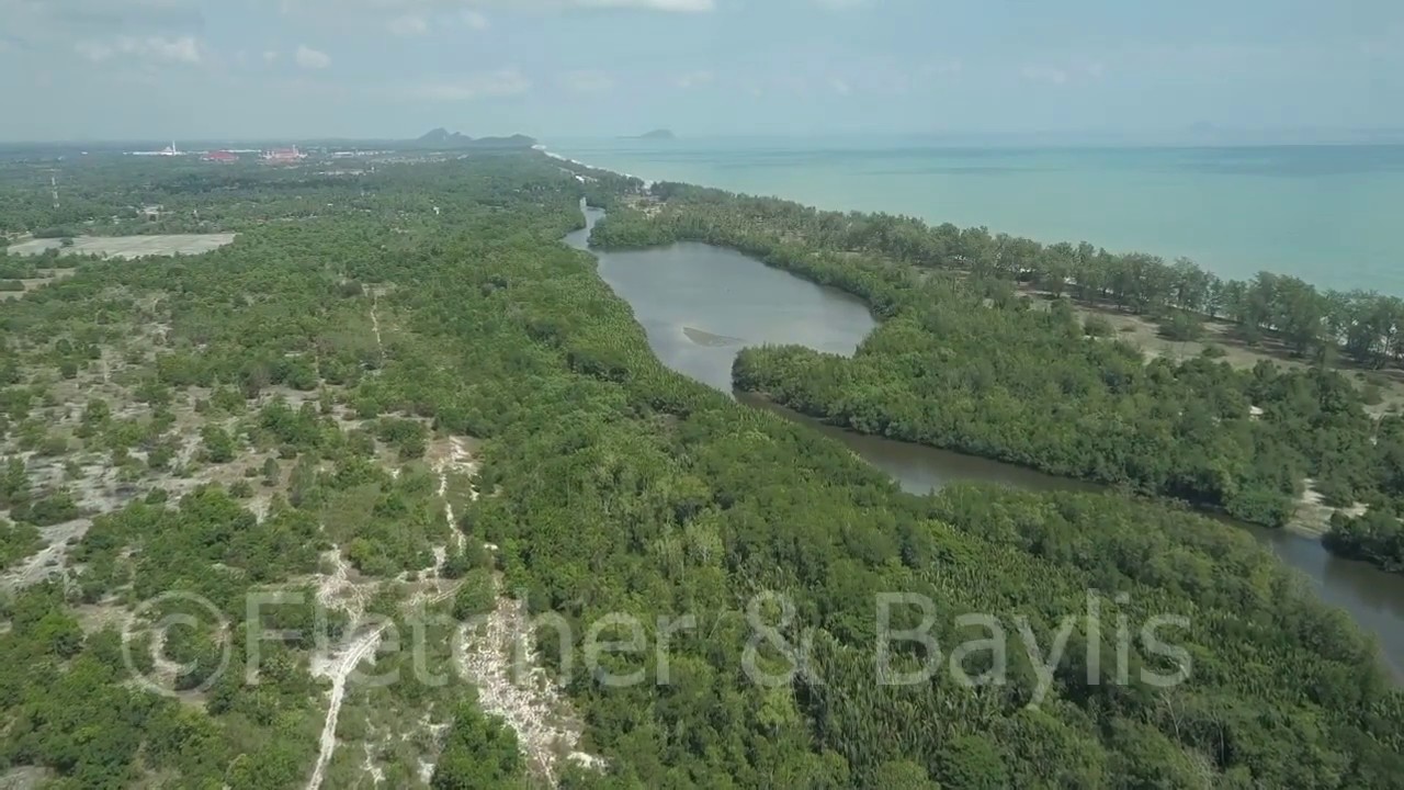 Aerial of Setiu Wetlands, Malaysia. 41966.uhd