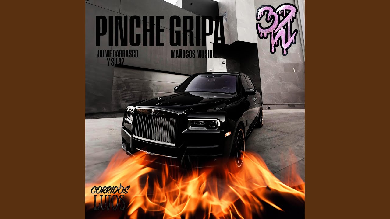 PINCHE GRIPA