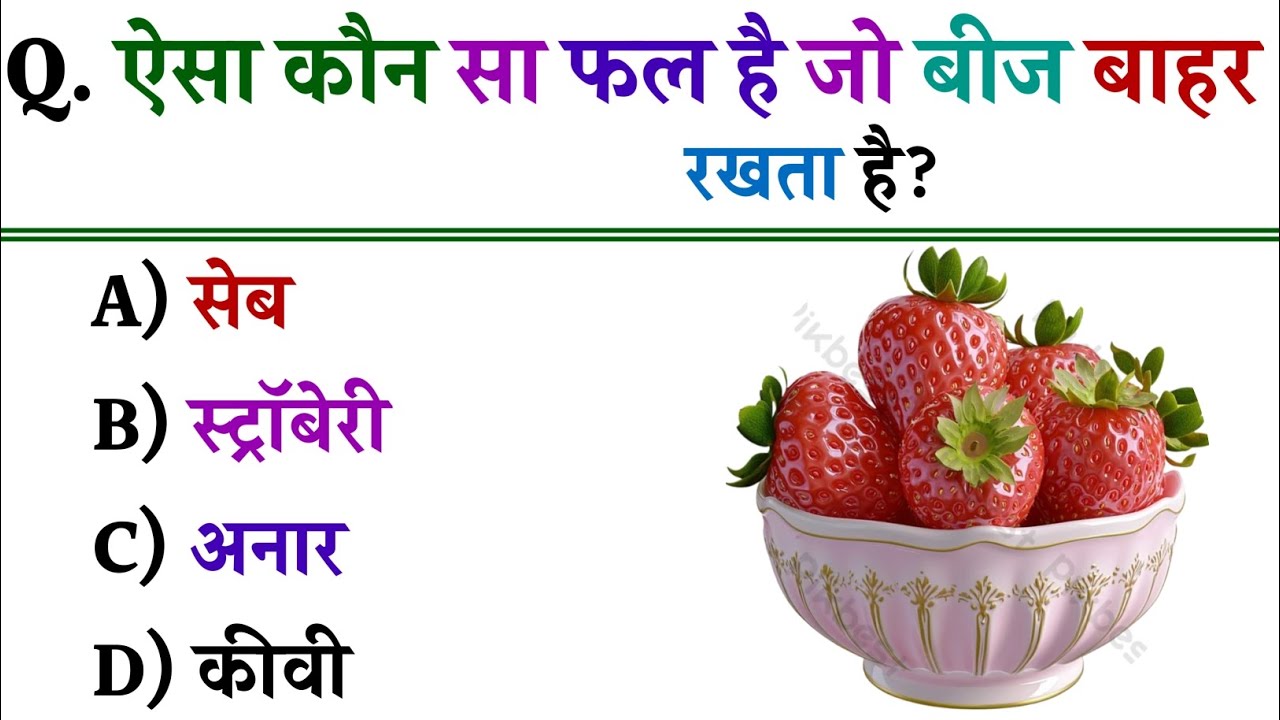 Most Important 20 Gk Questions 🤔|| Gk Questions ✍️ || Gk in Hindi || Gk Quiz || Nick's Gk Hub ||