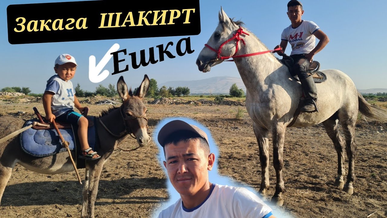 ЭШЕК ШАКИРТТИКИ 🐎Закада көк ТУЛПАР ТУРАТ