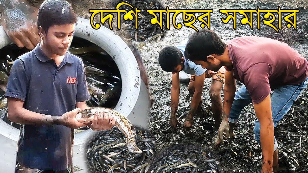 পুকুরে দেশি মাছ ধরার মজাই আলাদা | Best village fishing video #joypurhat