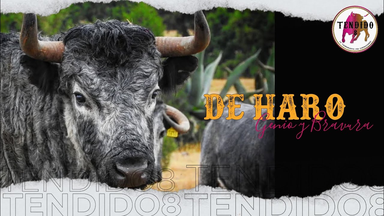 DE HARO: GENIO Y BRAVURA
