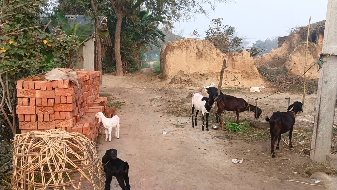 हेलो दोस्तों एक और नए वीलॉग वीडियो में आपका स्वागत है video pasand Aaye like and subscribe