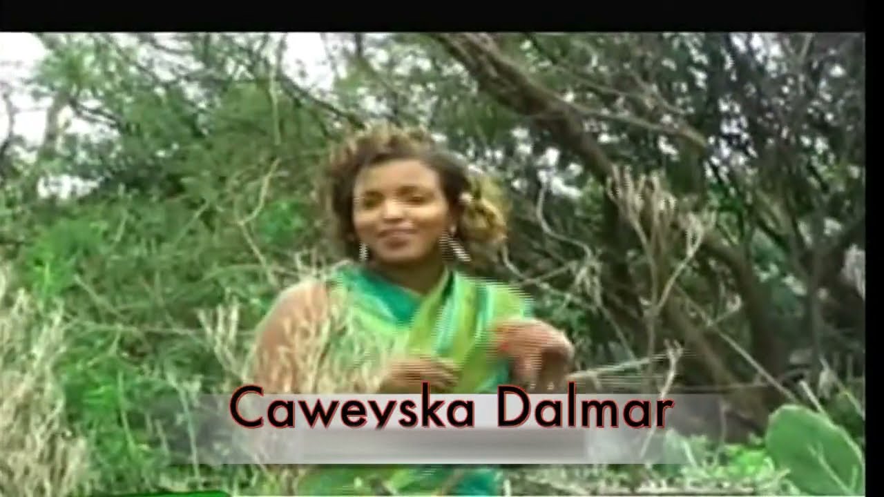 Dhaanto | Nimco Dareen iyo Cali Dhaanto | Gacma Leedo