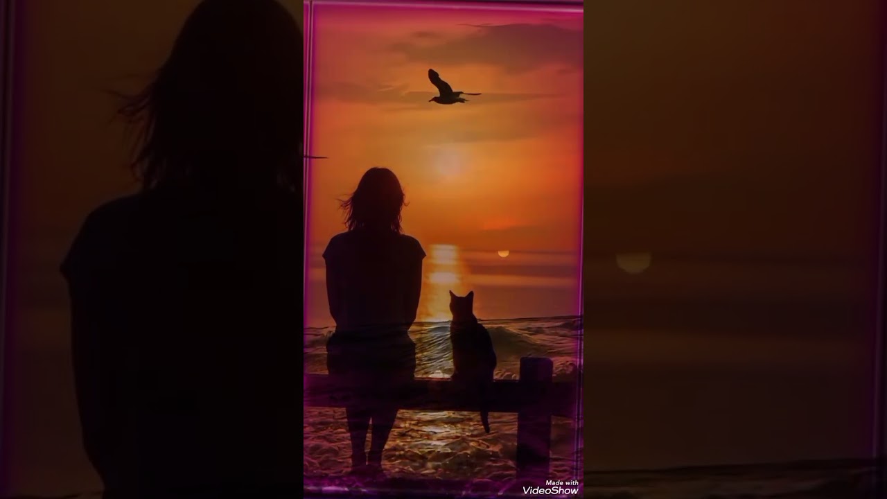 Volver a Vivir - Koty Real (video Official)