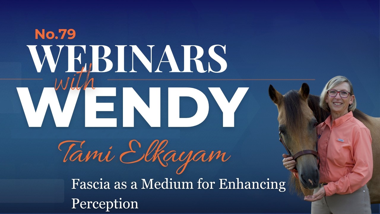 No. 79. Tami Elkayam, the Art of Seeing the Equine Body