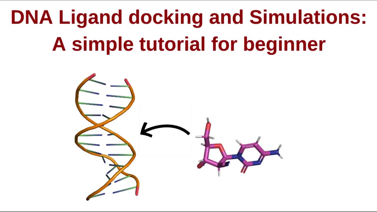 DNA-Ligand docking and simulations: Part 1