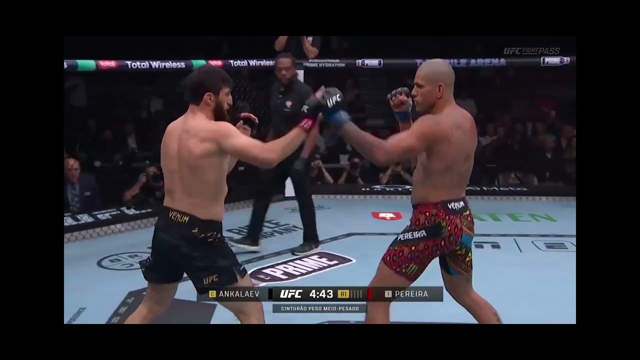 Se ligai luta completa Alex Poatan x Magomed Ankalaev