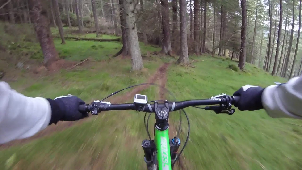 Atholl Hill Dunkeld MTB