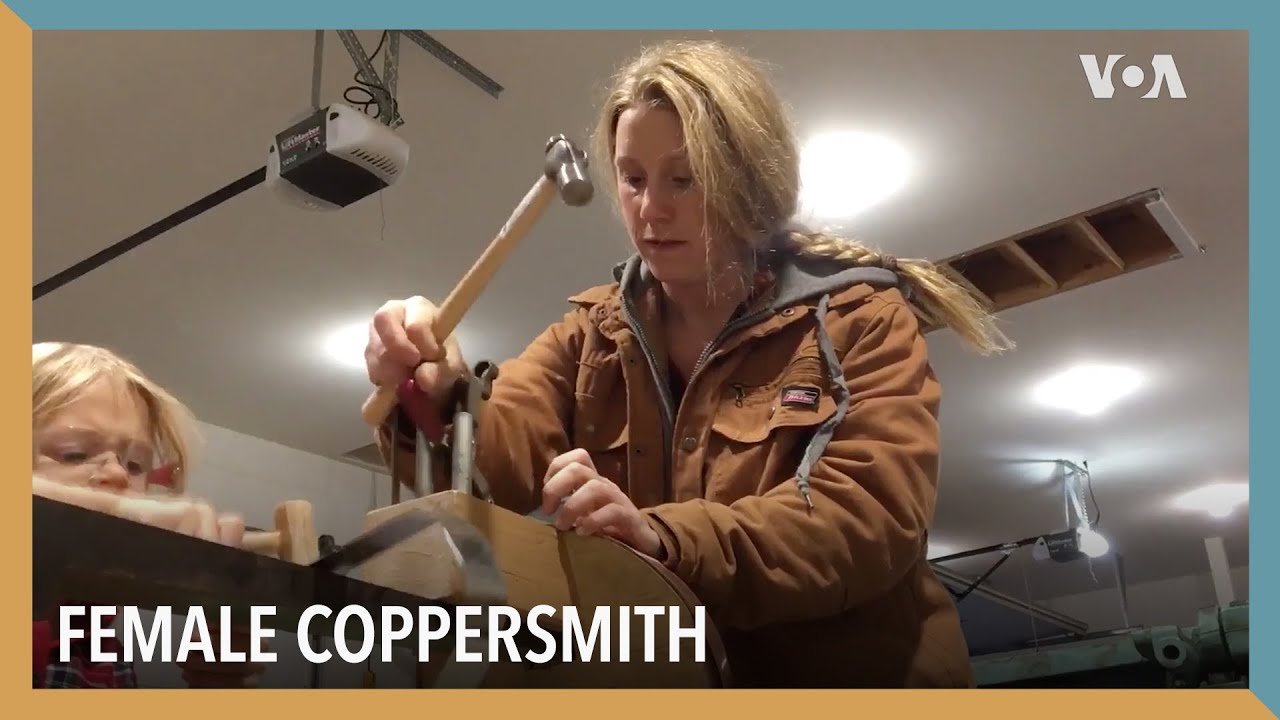 Female Coppersmith | VOA Connect