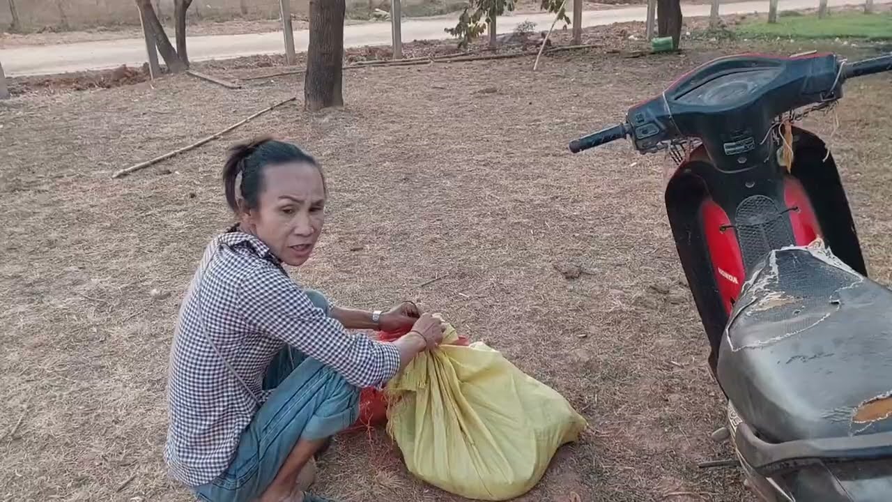 ขอบคุณพี่ต้อมช่วยซื้อเป็ดเจ้ศรีให้เจ้เจี้ยบไปเลี้ยงจ้า5ตัว