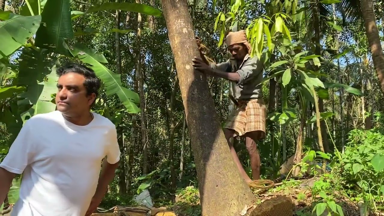കേരളത്തിൽ വന്നു തെങ്ങു കയറി കരിക്കു കുടിക്കുന്ന യുകെ യുവാവ് 😅😊 ഒന്നും പറയാനില്ല കൂട്ടുകാരെ അവാര 🥰