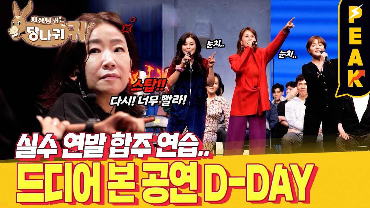 [#피크타임] 드디어 공연 당일! 뮤지컬 [맘마미아] 긴장되는 첫 공연 현장!  | #사장님귀는당나귀귀 | KBS 230514 방송