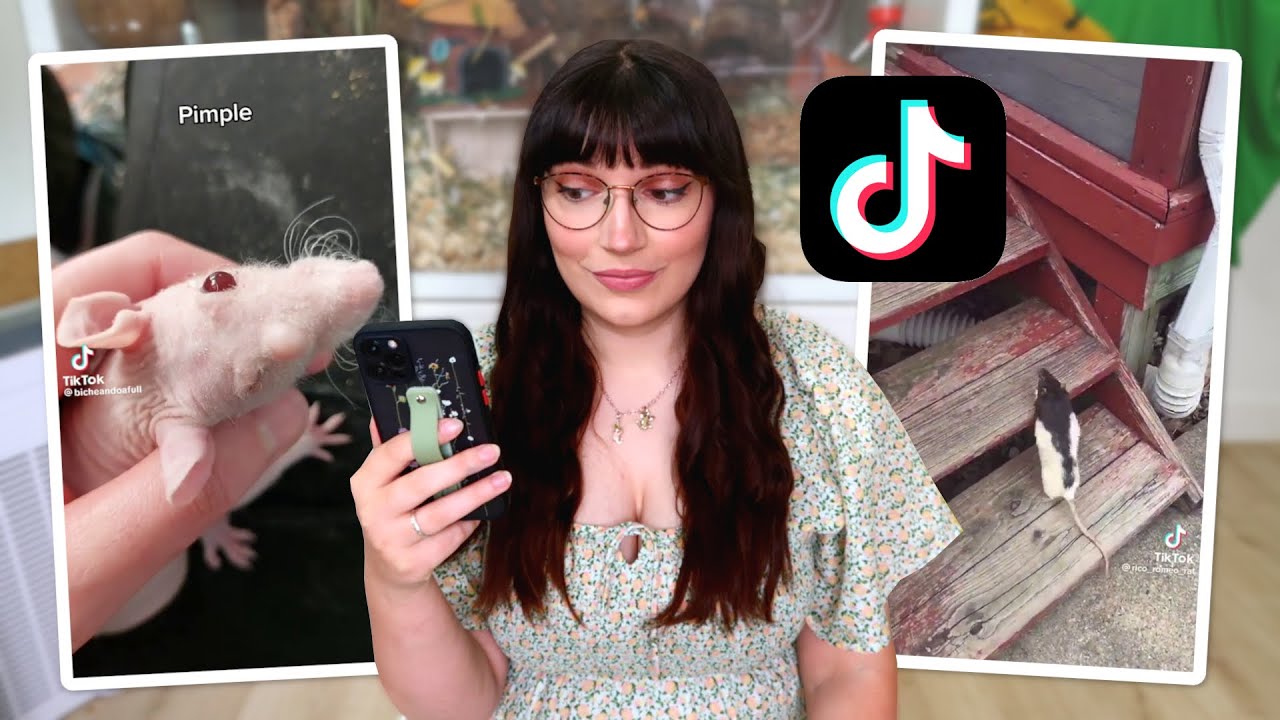 Реакция на Rat Tik Toks #2