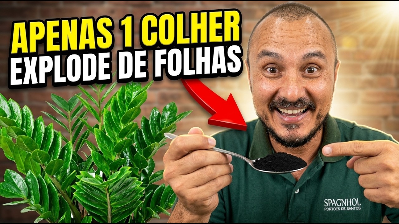 Apenas 1 colher faz a ZAMIOCULCA explodir de folhas o ano todo