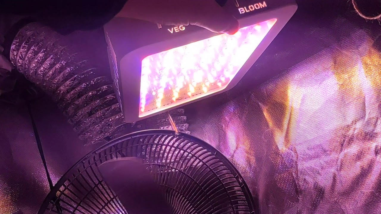 Giixer 1000 watt grow