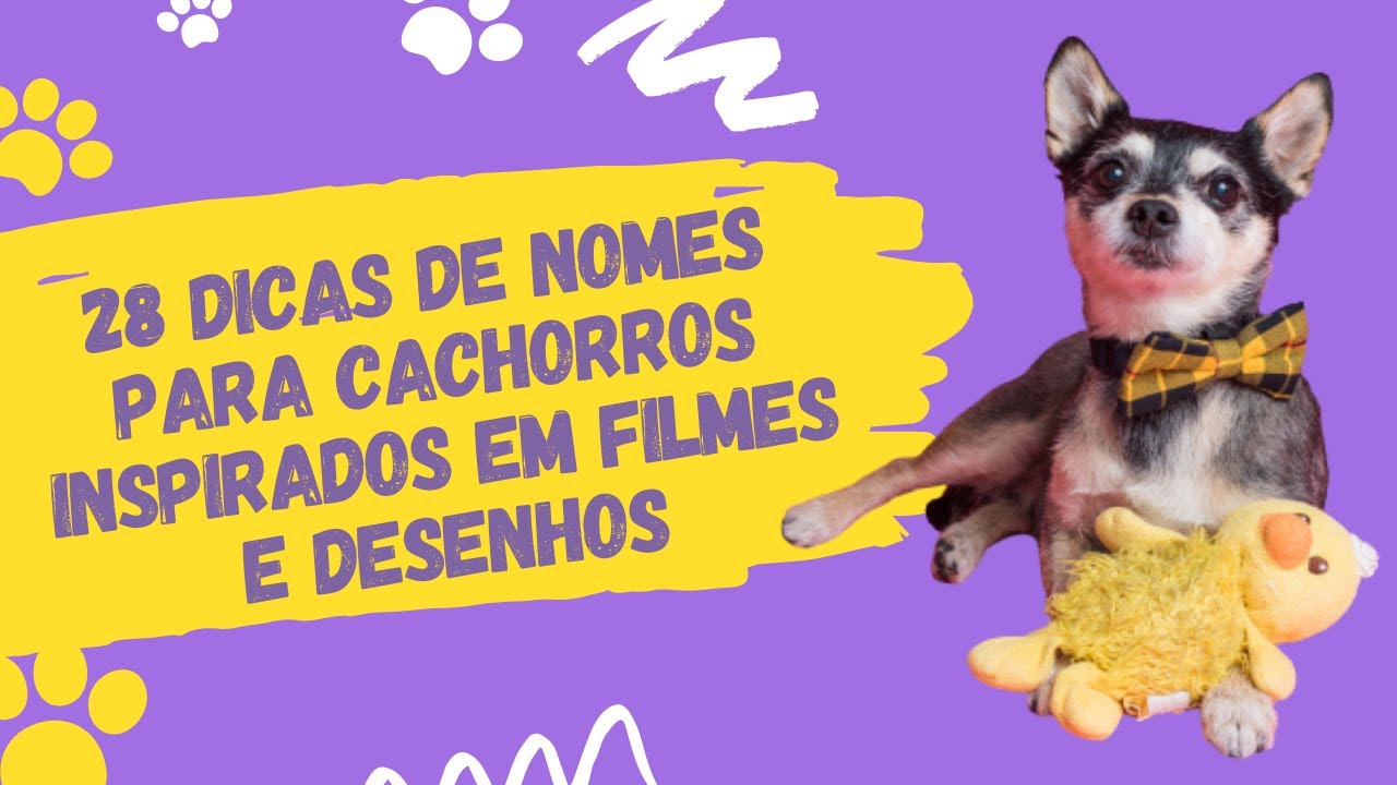 28 Dicas de nomes para Cachorros SUPER Criativos inspirados em Filmes e Desenhos