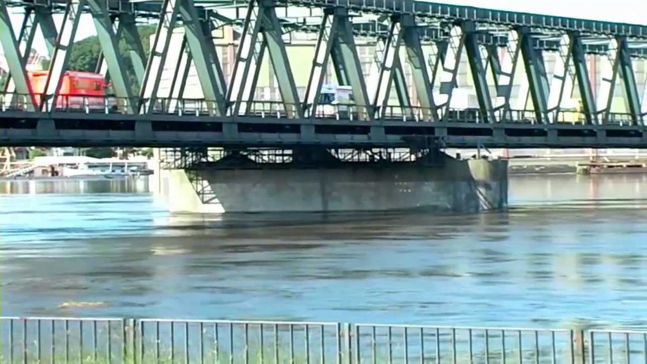 Hochwasser  Elbe 2013 - Lauenburg - Hohnstorf - DLRG Treibgutbergung