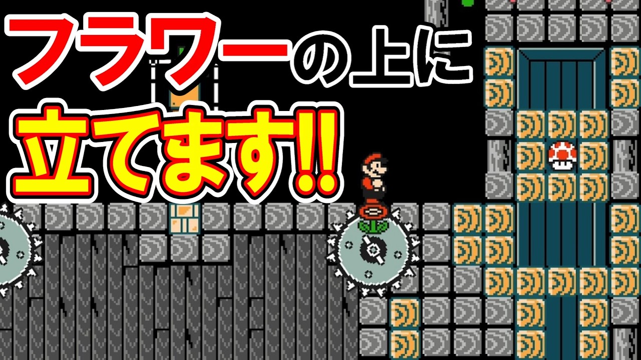 フラワーの上に立てます!!【マリオメーカー2】