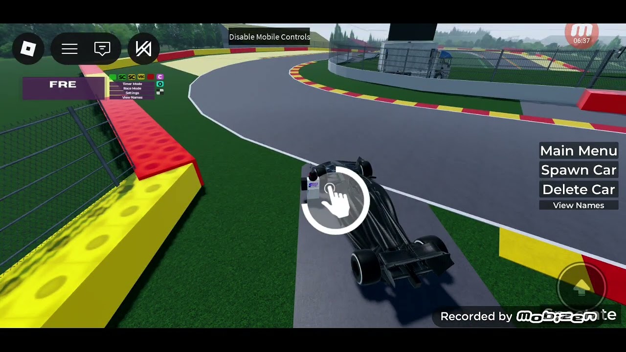 Formula racing experience
