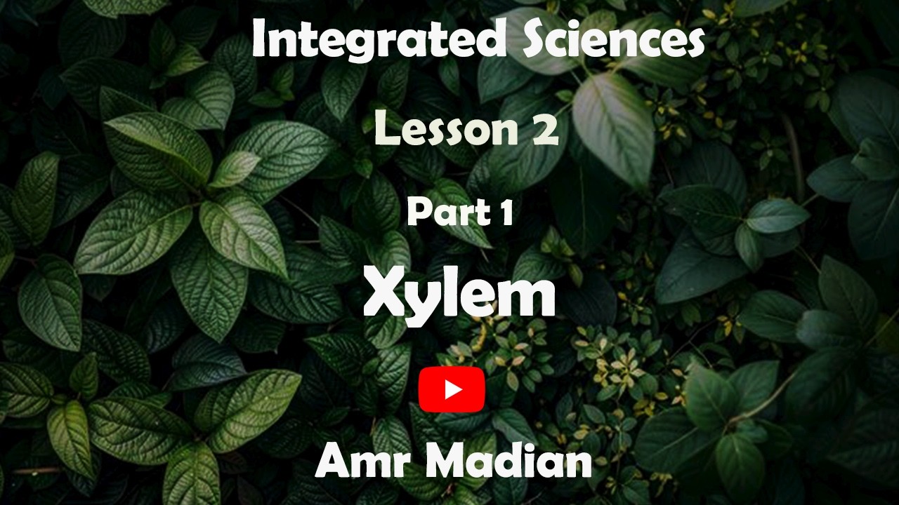 Integrated Sciences - Unit 3 - Lesson 2 - Part 1 - The xylem