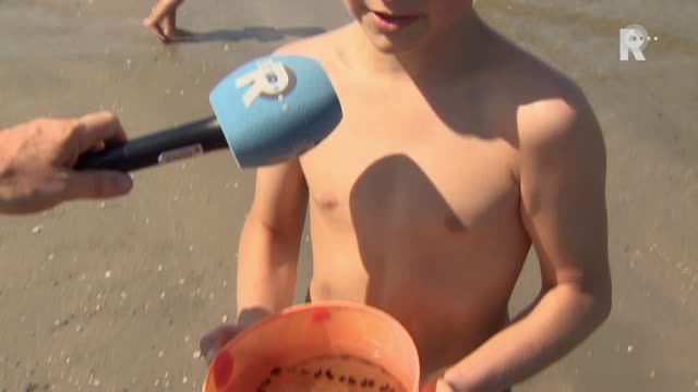 Pas op voor kwallen!
