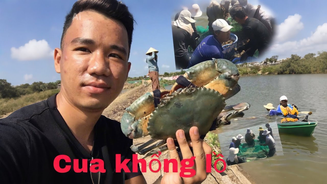 Thu hoạch tôm càng phát hiện cua to T3 mới nhất #Thànhcơmvlog #sănbắt #mớinhất