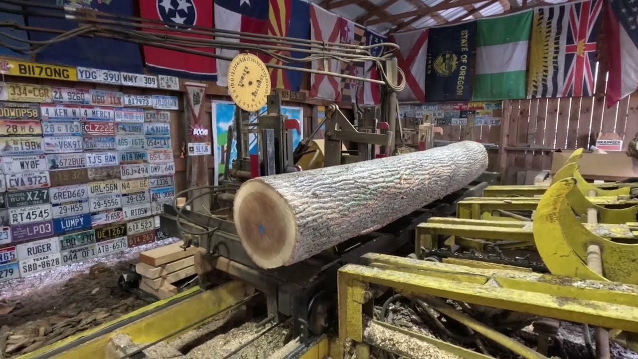 Sawing two clear poplar logs # 673